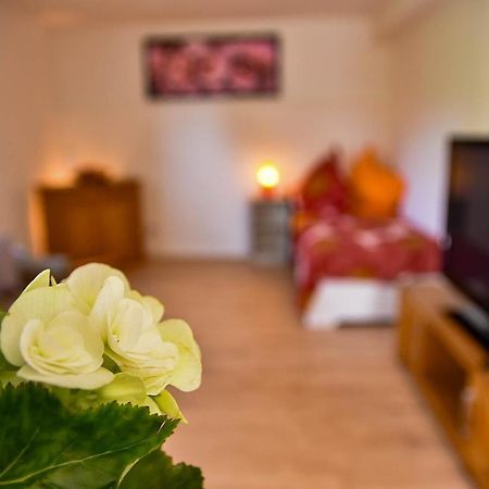Wohnung Mit Wohlfuehlcharakter Idar-Oberstein Εξωτερικό φωτογραφία
